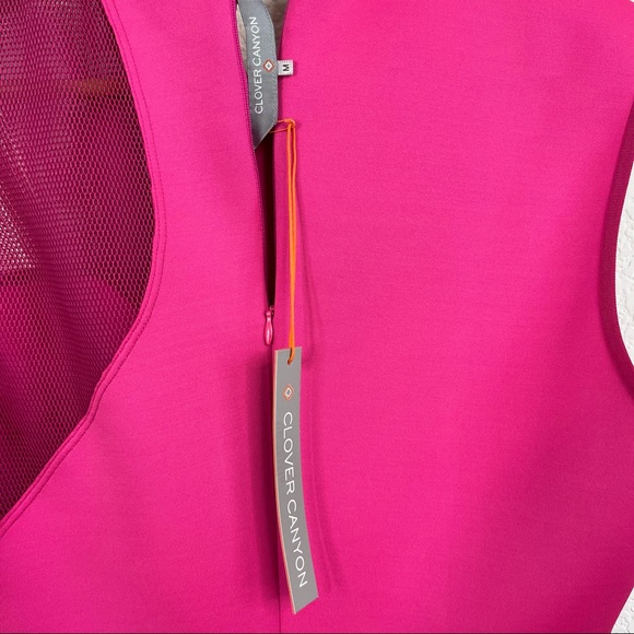 Clove Canyon Mesh Scuba Sheath Dress - Picture 5 of 7